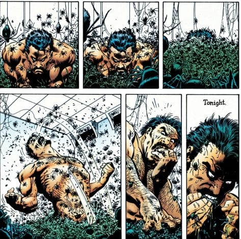 Kraven's Last Hunt