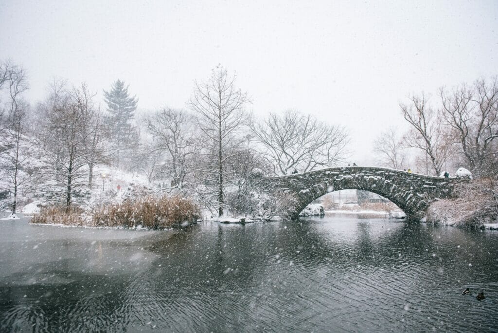 The Catcher in the Rye | Finding one's place in the world - Central Park