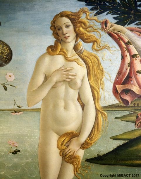 Dettaglio della Nascita di Venere, Sandro Botticelli, Firenze. Immagine per gentile concessione delle Gallerie degli Uffizi. Copyright MiBACT 2017